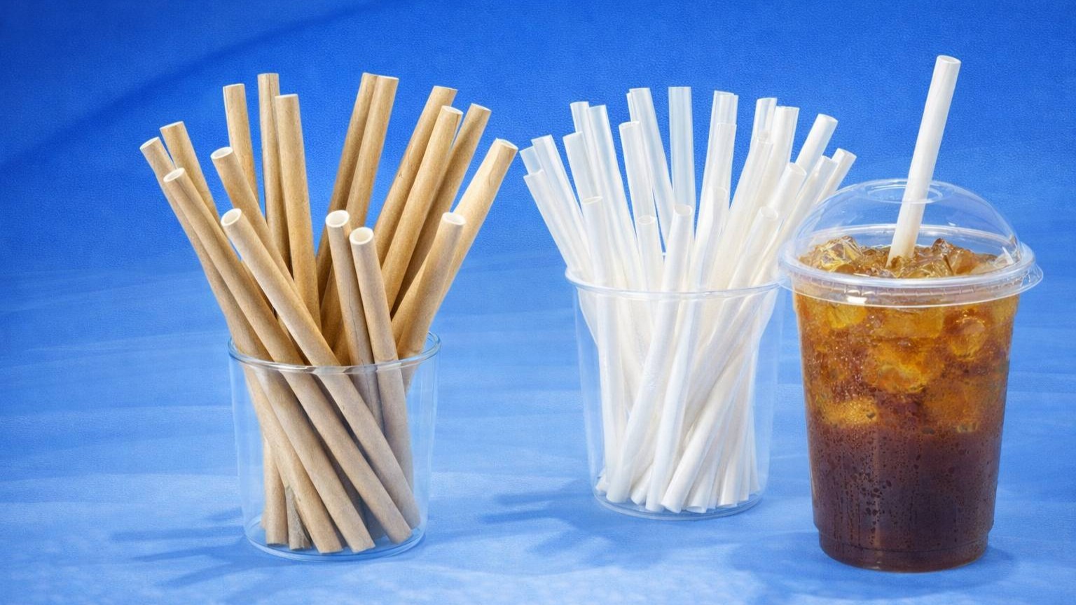 PRODUCT LINE 6 – PAPER & PLA STRAWS: Ống hút sinh học – giải pháp xanh