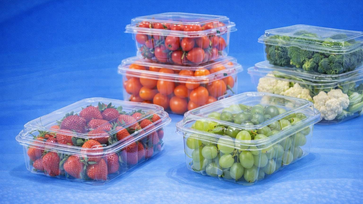 PRODUCT LINE 7 – FRUIT & VEGETABLE PACKAGING (PET, PP): Bao bì nhựa thực phẩm – bảo quản & trưng bày